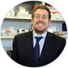 Eina inform&#xe0;tica de suport a la diagnosi de la litiasi renal